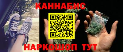 гашик Гусев